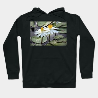 Beautiful Water Lily Hoodie